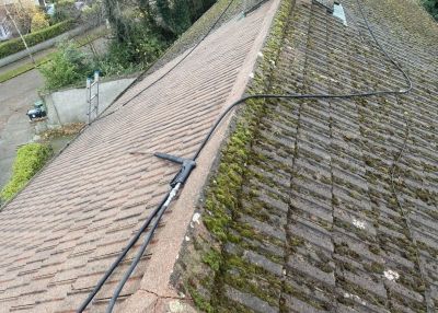 CM17 flat Harlow roof cleaning